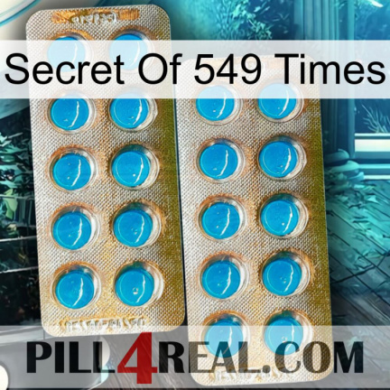 Secret Of 549 Times new08